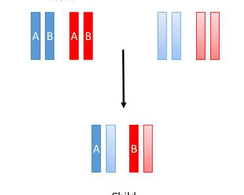 怀孕六个月反胃想吐，怀孕六个月顶胃咋回事？